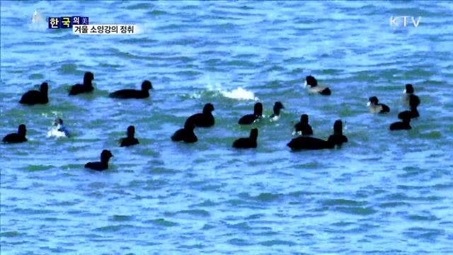 겨울 소양강의 정취 [한국의 美]