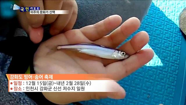 이 주의 문화가 산책