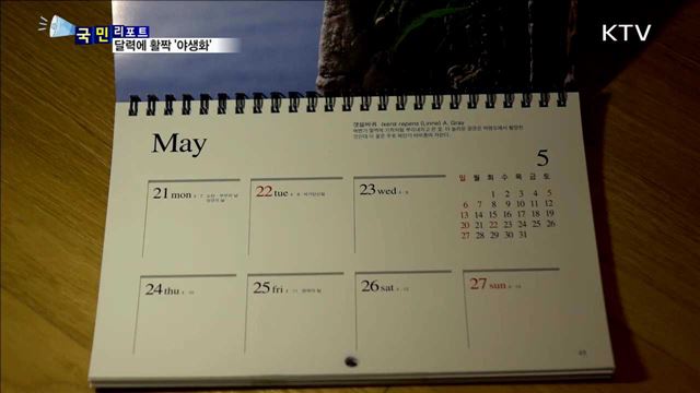 정겨운 토종 들꽃…달력에 활짝 피다