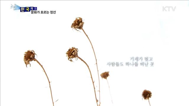 문화가 흐르는 정선 [한국의 美]