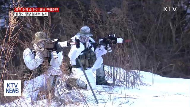 영하 30도 동장군 속 한·미 해병대 연합 훈련