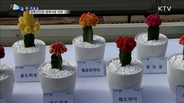 국산 접목선인장…세계시장 70% 점유