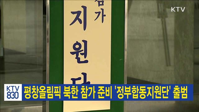 평창올림픽 북한 참가 준비 '정부합동지원단' 출범