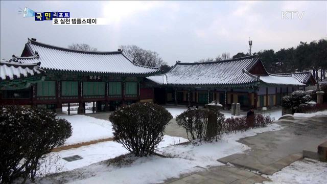 효 배우는 용주사 템플스테이 인기