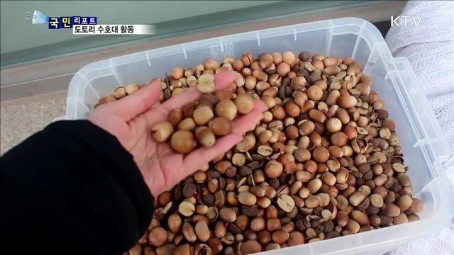 겨울철 야생동물 지키는 '도토리 수호대'