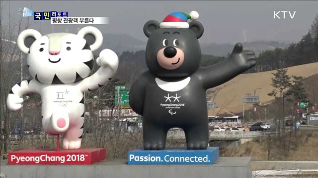 해피 700 평창…양떼 보고 넉넉한 인심도 나눠요