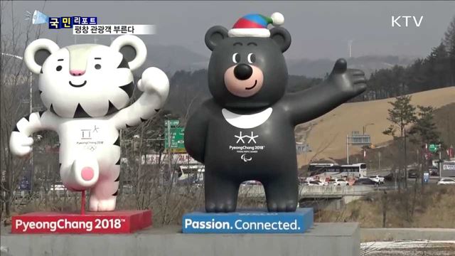 해피700 평창…양떼 보고 넉넉한 인심도 나눠요