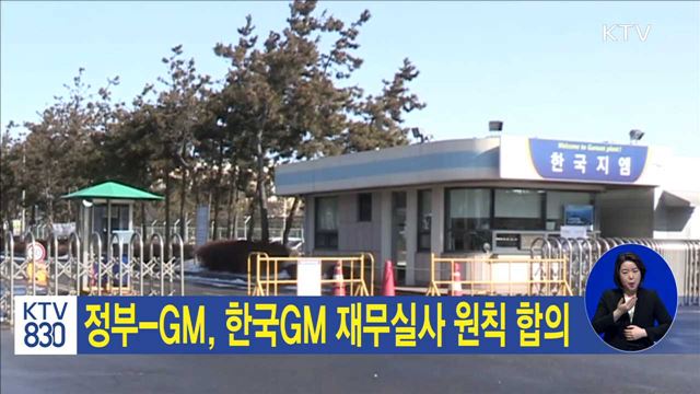 정부-GM, 한국GM 재무실사 원칙 합의