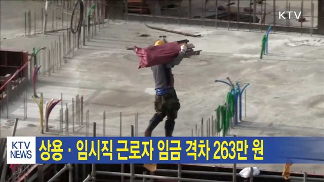 상용·임시직 근로자 임금 격차 263만 원