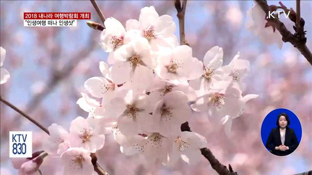 내나라 여행박람회…"인생여행 떠나고 인생샷 찍자"