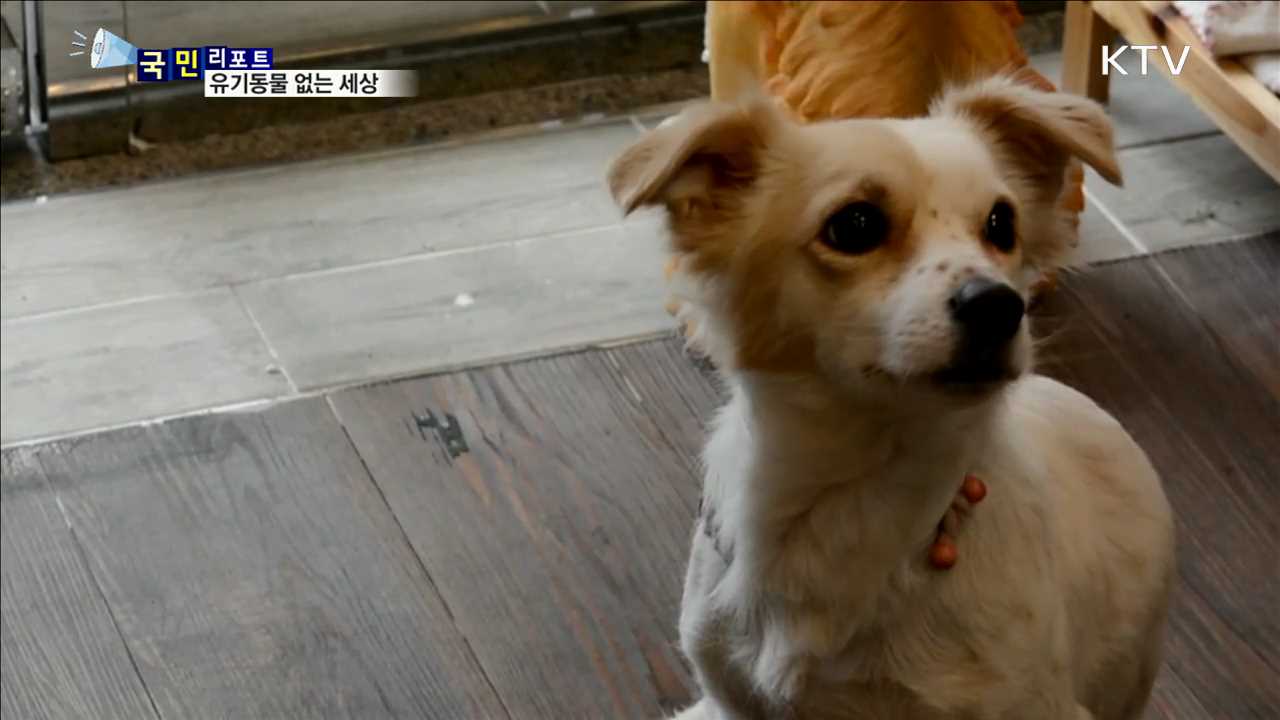 유기동물 없는 세상…우리가 만들어요