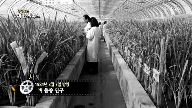 다시보는 대한늬우스 (84.03.07)