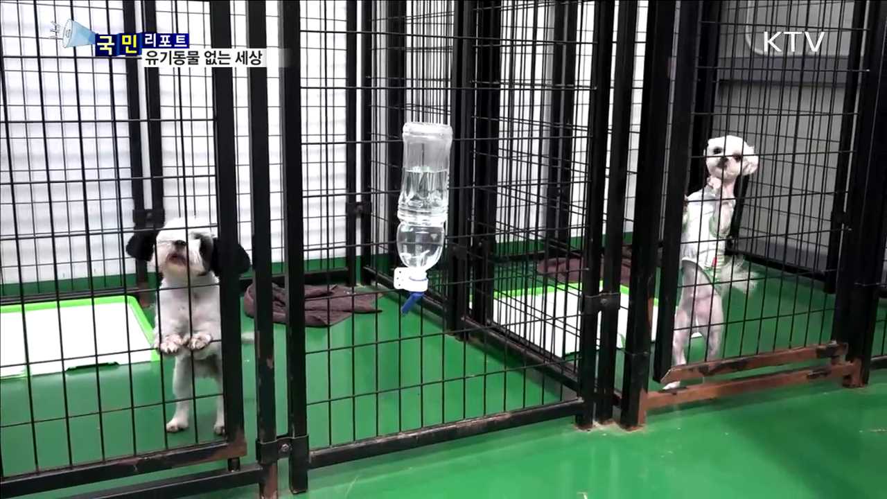 유기동물 없는 세상…우리가 만들어요