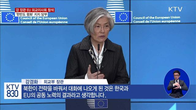 강경화 장관 귀국…EU '한반도 평화'지지 성과