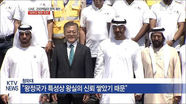 UAE, 250억달러 협력 제안…"사우디 원전 지지"