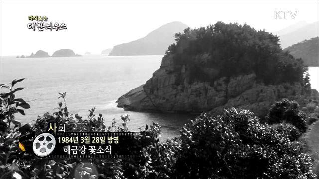다시보는 대한늬우스 (84.03.28)
