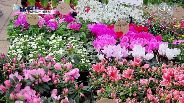 점점 올라가는 기온…식목일 날짜 변경 논란