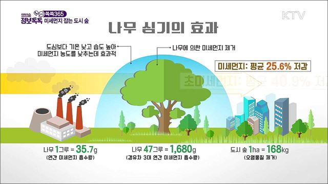 미세먼지 잡는 도시 숲