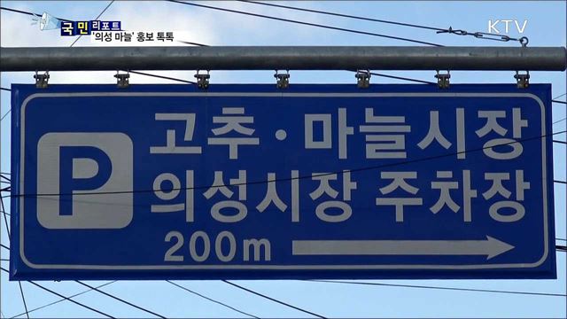 컬링 '갈릭 걸스' 효과 톡톡…의성 마늘 매출 쑥쑥