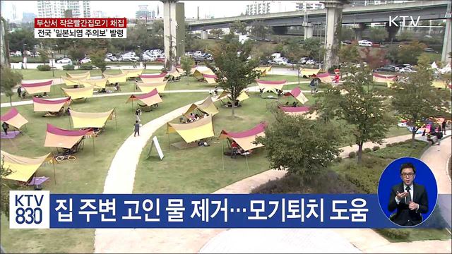 일본뇌염 주의보 발령… 백신으로 예방