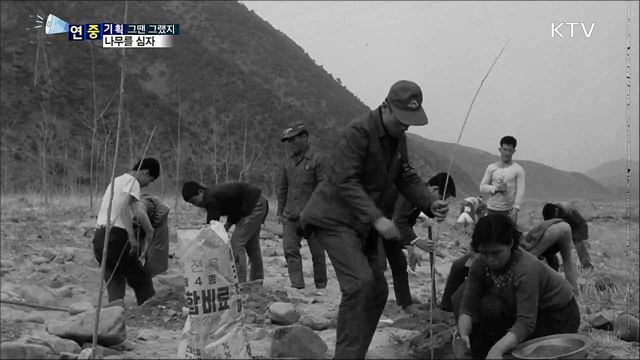 산에 산에 나무를 심자…범국민 식목행사