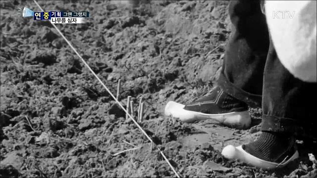 산에 산에 나무를 심자…범국민 식목행사