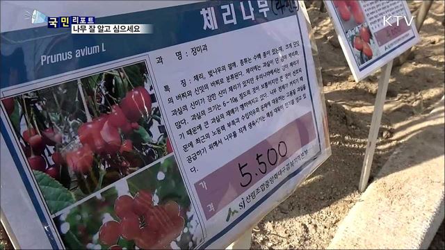 나무, 심는 것 못지않게 잘 심는게 중요