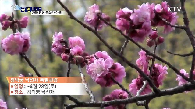 이 주의 문화가 산책