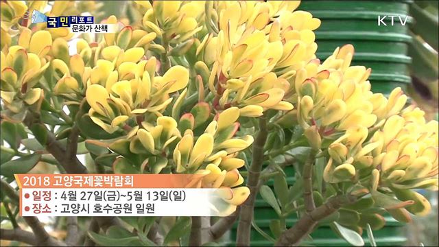 이 주의 문화가 산책(18. 04. 26. 8시)