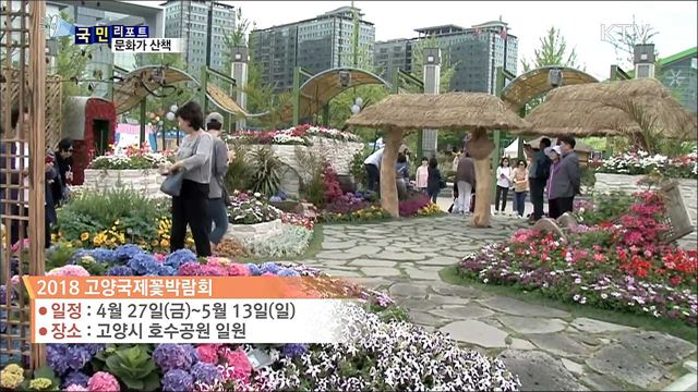 이 주의 문화가 산책