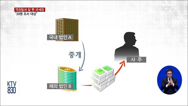 재산 해외에 '꽁꽁'…국세청, 역외탈세 세무조사