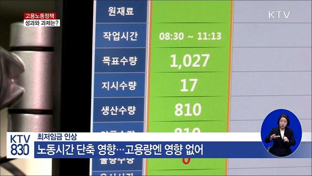 '문재인정부 출범 1년' 고용노동정책 성과와 과제는?