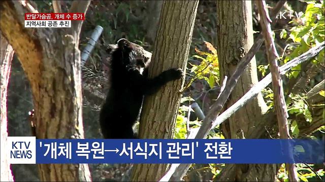 반달가슴곰 개체 수 증가… 지역사회 공존 추진