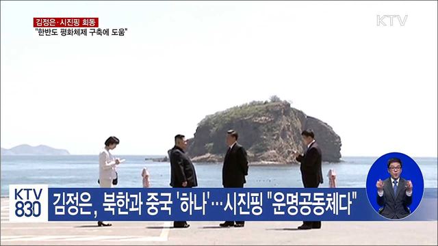 "김정은·시진핑 회동, 한반도 평화체제 구축에 도움"