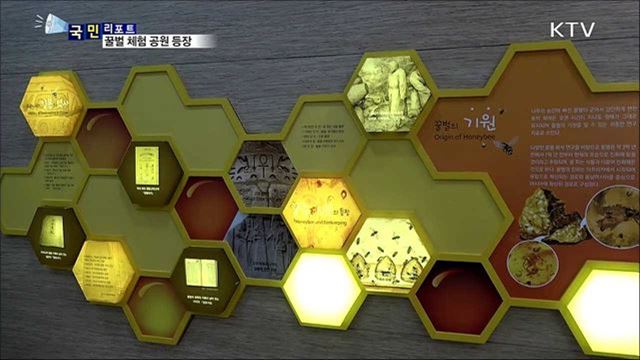 국내 최대 규모 '꿀벌 생태' 체험 공원