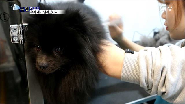 서툰 가족, 반려견·견주 함께 배워요