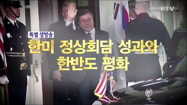 한미정상회담 성과와 한반도 평화