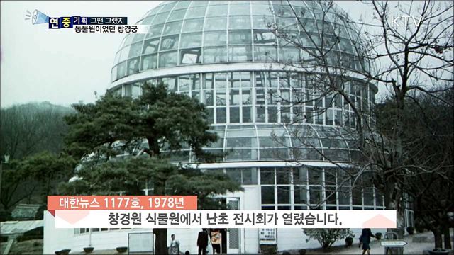 슬픈 역사···동물원이었던 창경궁