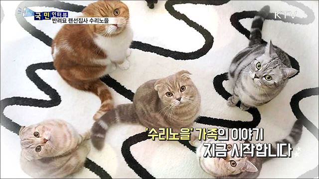 반려묘 랜선집사 수리노을…고양이의 가족 이야기