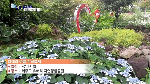 이 주의 문화가 산책