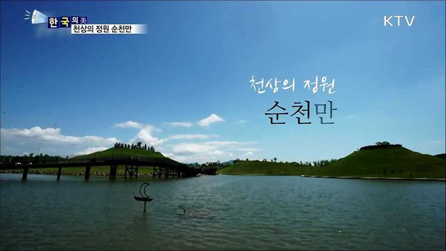 천상의 정원 순천만 [한국의 美]