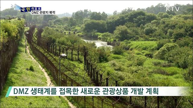 한반도 봄바람…DMZ 관광객 급증