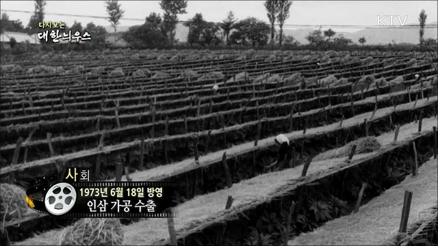 다시보는 대한늬우스 (73.06.18)