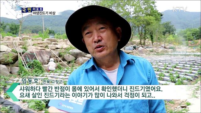 야생진드기 비상···"야외활동때 긴 옷 착용"