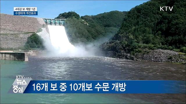 4대강 보 개방 1년···조류농도 40% 감소·생태계 개선