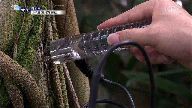 '나무의사' 도입···생활권 숲 나무의사가 관리
