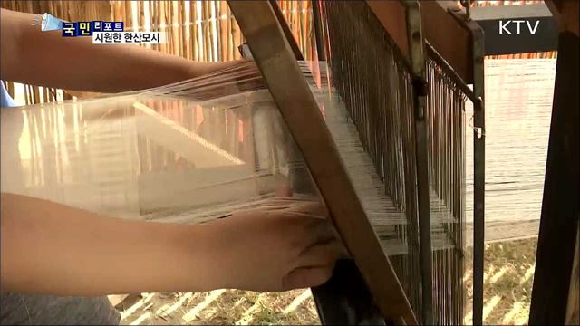 '더위야 물렀거라~' 한산모시 만들기 체험