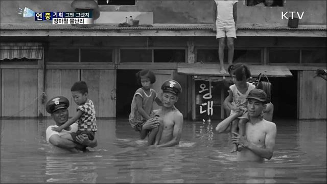 장마철 물난리···집도 소도 둥둥