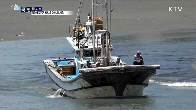 40여 년 전통 북성포구 파시