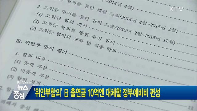 '위안부합의' 日 출연금 10억엔 대체할 정부예비비 편성
